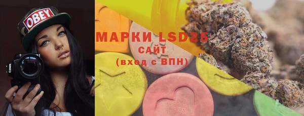 PSILOCYBIN Кострома