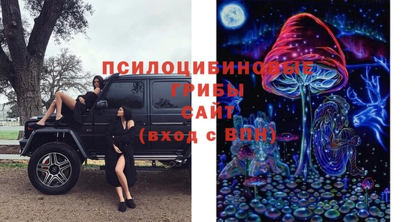 дмт Архангельск
