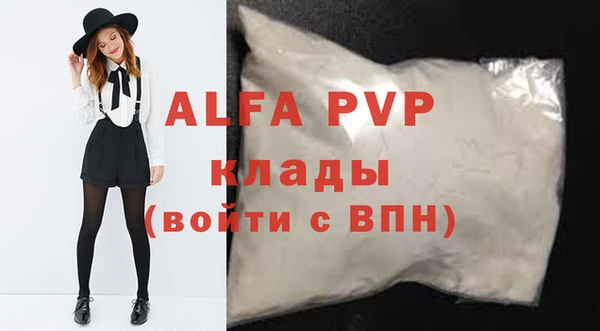 стаф Магас
