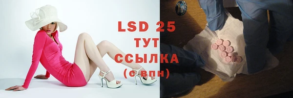 дживик Липки