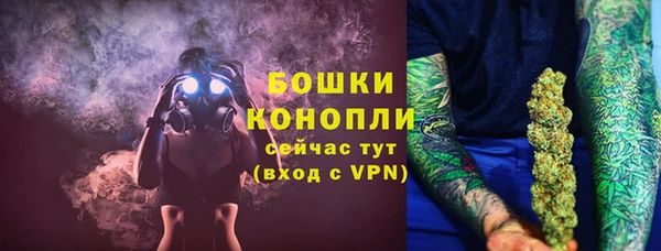 индика Лихославль