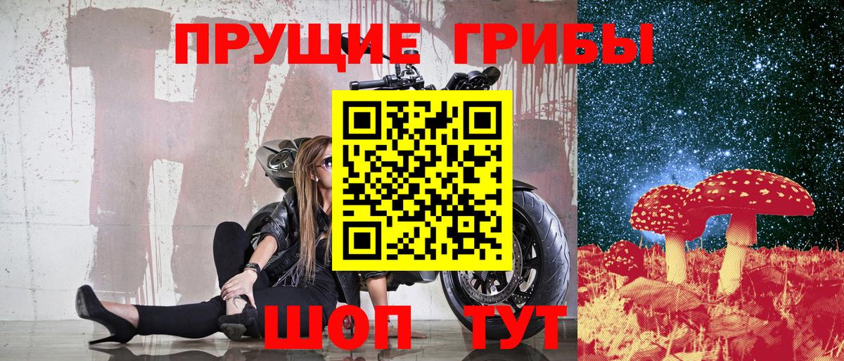 Псилоцибиновые грибы Psilocybe  купить наркоту  Брянск  Вход с VPN 